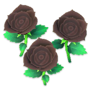 Some Black Roses