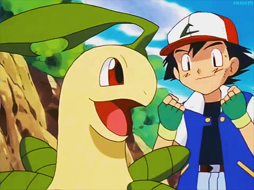 Ash hugging Bayleef