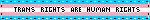 Trans Rights Blinkie